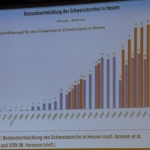 0078 Energie Zukunft BUND Hessen M Krauss Folie 11.jpg
